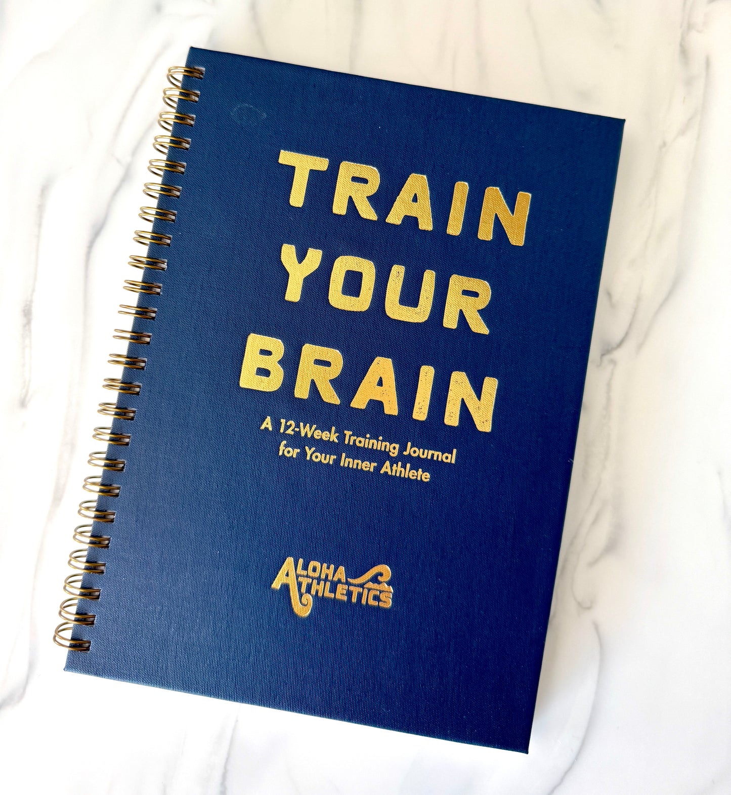 Train Your Brain Guided Journal PREORDER